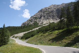 im Bereich der Waldgrenze, Blick Straße aufwärts