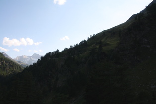 Blick auf die Südostrampe, im Hintergrund der Hoher First