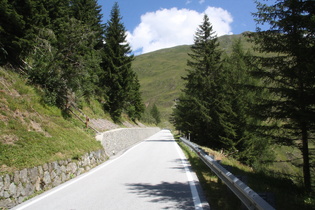 Wald- und Baumgrenze rücken näher