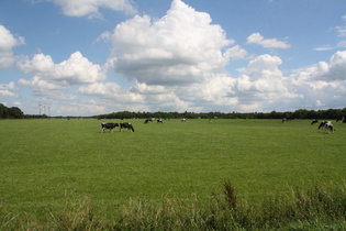 weites Land an der Grenze zwischen den Landkreisen Aurich und Leer