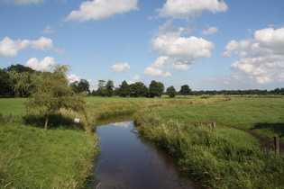 der Wieseder Tief bei Heidhörn, Blick nach Osten