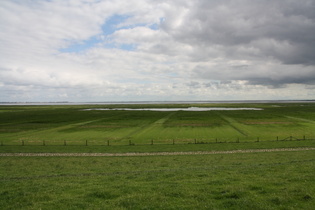 bei Petersgroden, Blick von der Deichkrone nach Nordosten