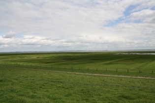 bei Petersgroden, Blick von der Deichkrone nach Norden