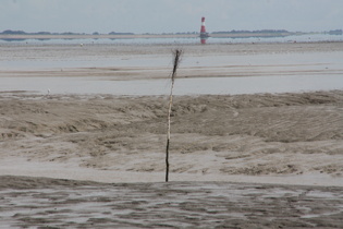 Zoom auf eine Pricke, im Hintergrund der Leuchtturm Arngast