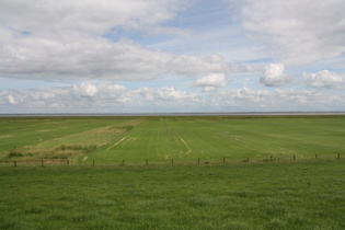 auf dem Deich zwischen Dangast und Vareler Schleuse, Blick nach Nordosten