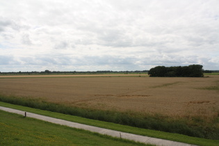 auf dem Deich zwischen Dangast und Vareler Schleuse, Blick nach Süden