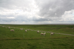 Blick vom Deich bei Augustgroden über das Seefelder Watt nach Südwesten