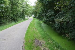 Nein, das Grüne da ist KEIN Weg, sondern ein Graben mit 100 % Bedeckung durch die Kleine Wasserlinse (Lemna minor)