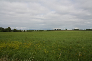 nördlich von Sillens, Blick nach Norden