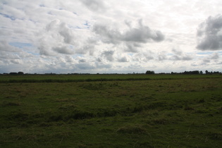 bei Phiesewarden, Blick nach Südwesten