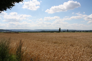 zwischen Northen und Everloh, Blick zum Deister