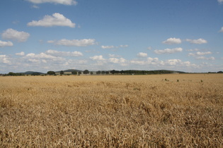 zwischen Leveste und Egestorf, Blick zum Gehrdener Berg