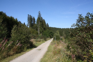 Rumpelpiste auf der ehemaligen Bahntrasse