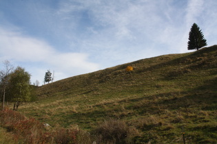 ein Hauch von Bergstimmung bei Altenau