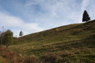 ein Hauch von Bergstimmung bei Altenau