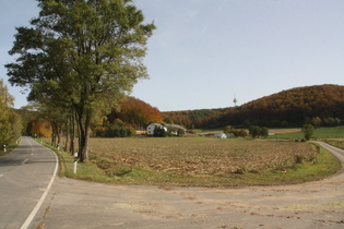 oberhalb von Niese, Blick zum  Köterberg