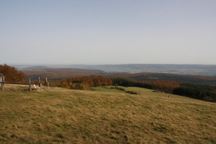 Blick vom Gipfel nach Osten Richtung Holzminden