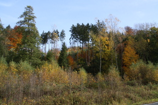 Hersbtstimmung nördlich oberhalb von Seesen