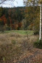 Innerstetal zwischen Lautenthal und Wildemann, Blick nach Westen