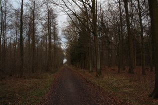 trübe Stimmung im Großen Holz