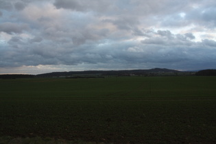 zwischen Döteberg und Herenberg, Blick zum Benther Berg