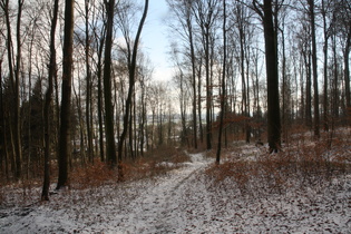 Blick vom Benther Berg über Benthe nach Südosten