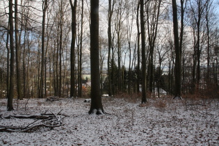 Blick vom Benther Berg auf Hannover im Osten