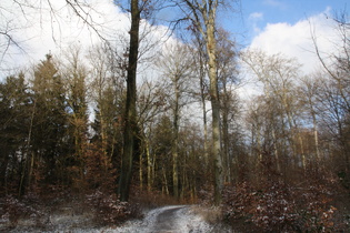 Benther Berg, Kammweg, Blick nach Norden