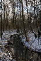 Kirchwehrener Landwehr, Blick flussabwärts