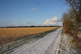 südliche Feldmark von Kirchwehren, Blick nach Norden auf Kirchwehren