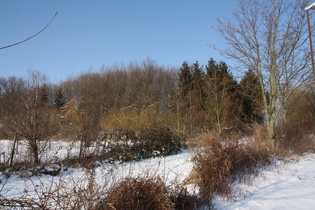 Berge und Fichtenwälder sind nahe Hannover leider nicht zu finden