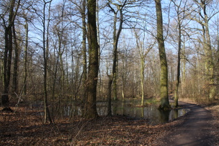 sumpfige Stelle zwischen Velber und Lenthe