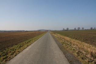 Agrarwüste bei Northen, im Hintergrund der Stemmer Berg