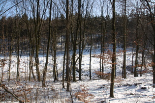 Winter im Deister