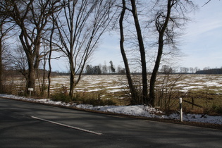 zwischen Neuhaus im Solling und Silberborn