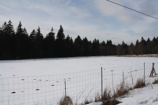 Winter bei Torfhaus