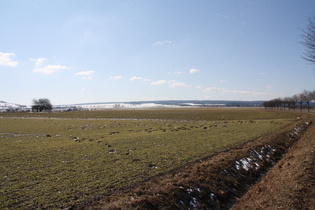 zwischen Stadtoldendorf und Deensen, Blick Richtung Solling