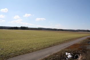 nördlich von Arholzen, Blick auf den Sollingrand