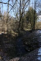 der Beverbach, Blick flussaufwärts