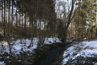 der Beverbach, Blick flussabwärts