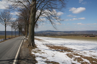 Hohe Eiche, Blick nach Westen auf v. l. n. r.: Albaxen, Köterberg, Stahle