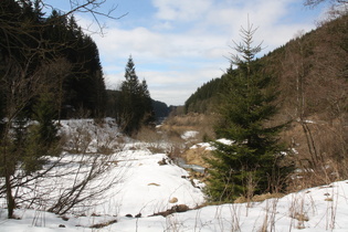 Blick über das Kalbetal Richtung Okerstausee