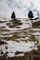 Bergwiese am östlichen Ortsausgang von Altenau