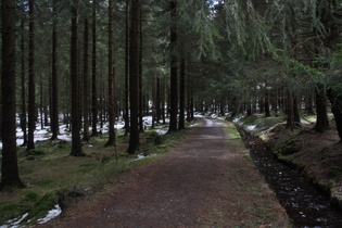 Dammgraben, Blick entgegen der Fließrichtung