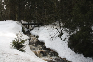 ein Bach ziemlich weit oben