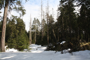 reichlich Schnee in der Landschaft