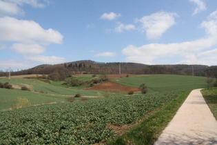 zwischen Hastenbeck und Voremberg, Blick auf den Schecken