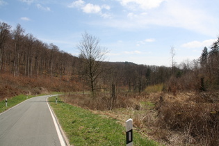 namenloser Pass im Zuge der K10 zwischen Heyen und Bodenwerder, Südrampe