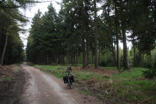 Kammweg über den Kalen-Berg