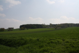 Deister, Nordflanke oberhalb von Bantorf